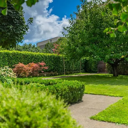 Nona's Garden *